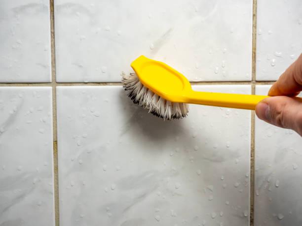 Best Home Mold Removal  in Mbria, CA