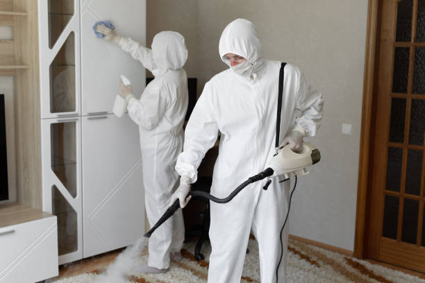 Best Mold Testing  in Mbria, CA